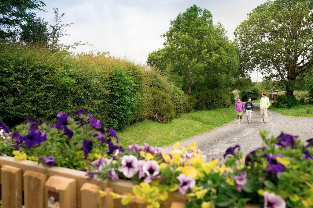 Burren Glamping Villa Kilfenora Eksteriør bilde