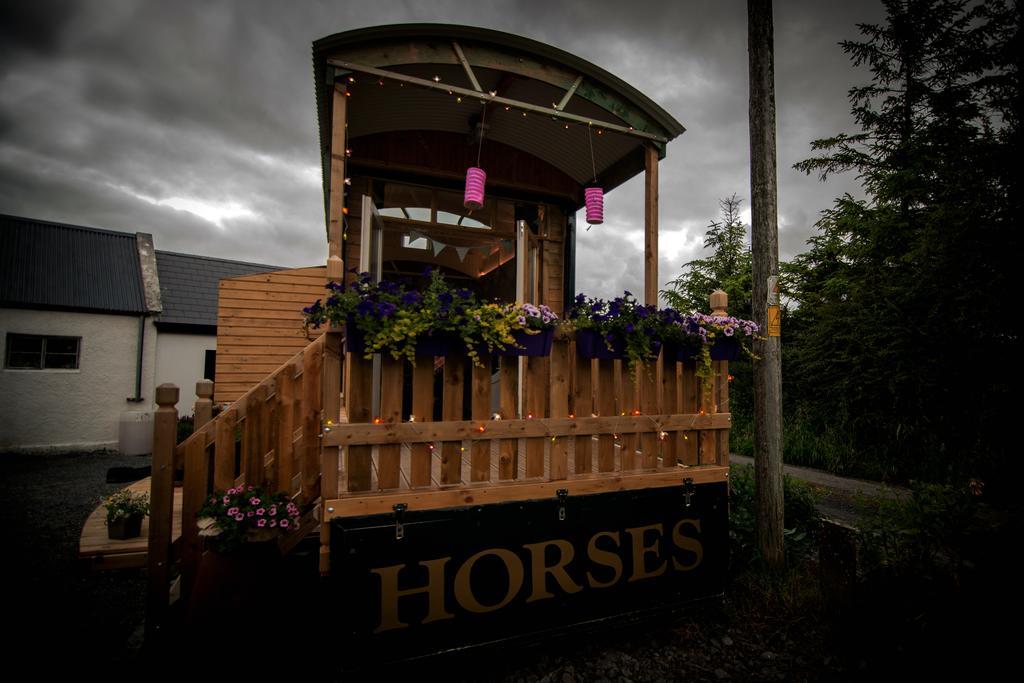 Burren Glamping Villa Kilfenora Eksteriør bilde